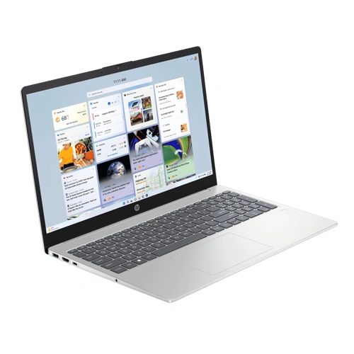 HP 15-fd1225TU Laptop (Intel Core 3-100U/Silver)